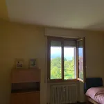 Oliveto Desenzano del Garda